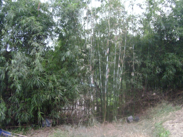 美爾家燈飾3