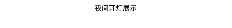 詳情_11